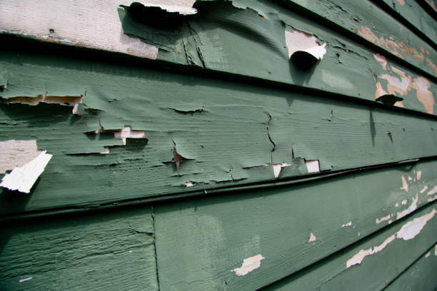 Plains, MT Junk Removal Company